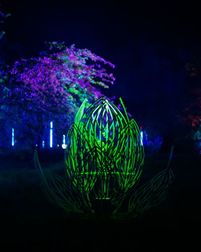 Festiwal Światła | FOTORELACJA